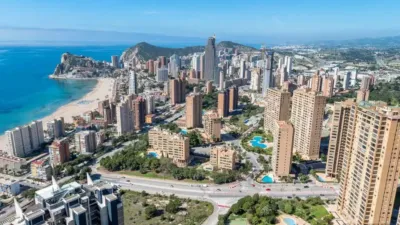 Apartment in Platja de Ponent photo 12
