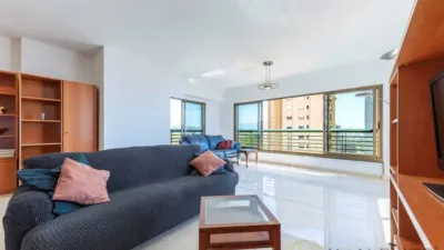 Apartment in Platja de Ponent photo 12