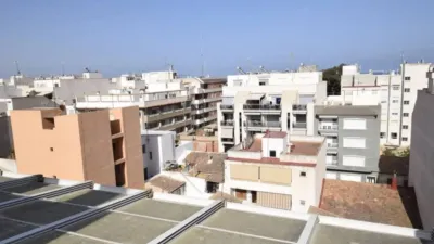 Apartment in Guardamar del Segura photo 7