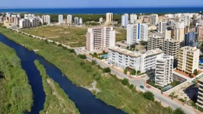 Apartment in Guardamar del Segura photo 4