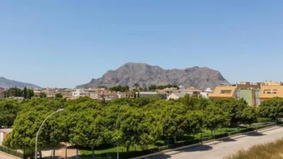 Chalet in Orihuela photo 31