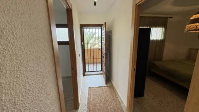 Apartment in Guardamar del Segura photo 8