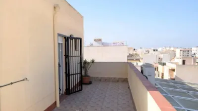 Apartment in Guardamar del Segura photo 4