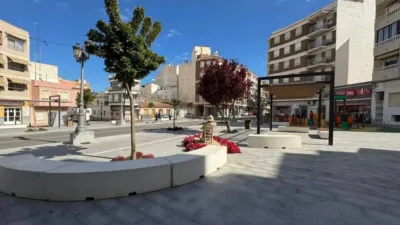 Apartment in Guardamar del Segura photo 14