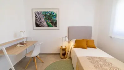 Apartment in Santa Pola photo 21