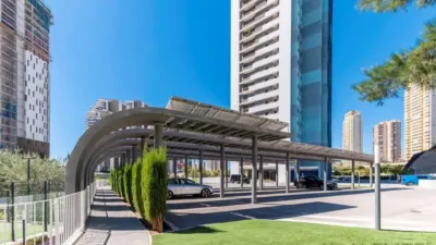 Apartment in Platja de Ponent photo 19