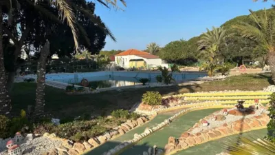 Apartment in Guardamar del Segura photo 10