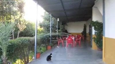 Chalet in Lucena photo 63