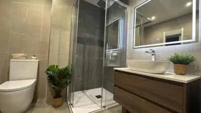 Flat in Ourense City photo 59
