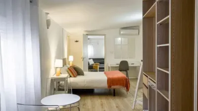 Apartment in Palacio photo 3