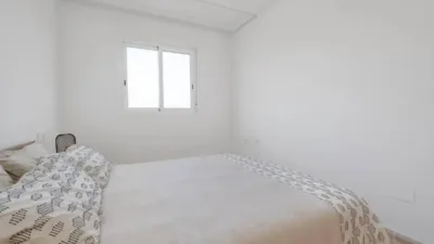 Apartment in Formentera del Segura photo 20
