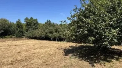 Rustic property in Ortigueira photo 20