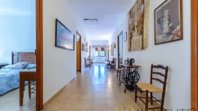 Chalet in Ibi photo 30