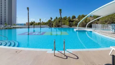 Apartment in Platja de Ponent photo 8