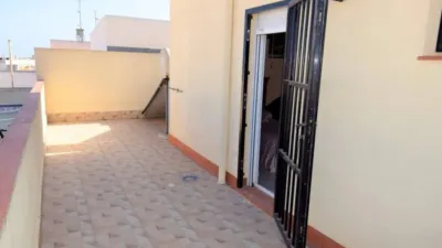 Apartment in Guardamar del Segura photo 11