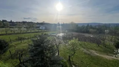 Chalet in Ourense City photo 67