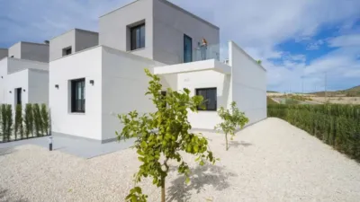 Chalet in Murcia City photo 15
