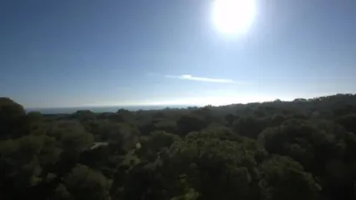 Apartment in Guardamar del Segura photo 3