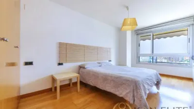 Duplex penthouse on Avenida de Óscar Esplá photo 15