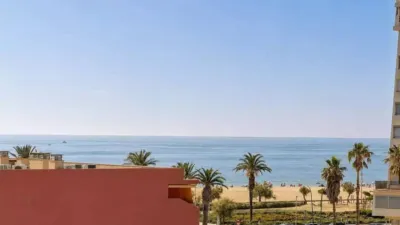 Apartment in the Badia-Gran Reserva Sector photo 2