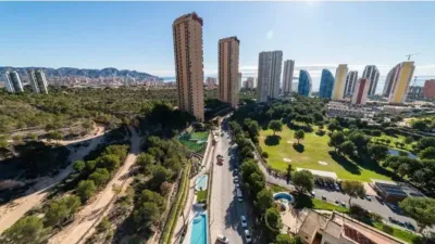Apartment in Benidorm photo 23