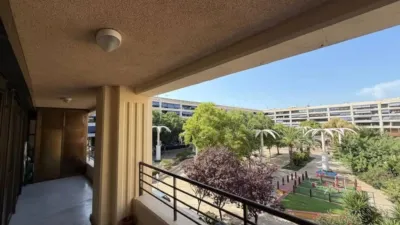Apartment in Guardamar del Segura photo 6