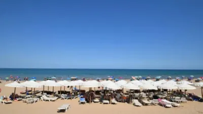 Chalet in Guardamar del Segura photo 3