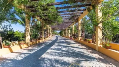 Chalet in Torrellano-Valverde-Parc Empresarial photo 38