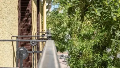 Apartment in Goya photo 28