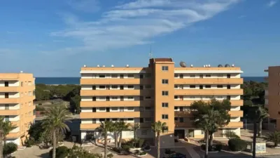 Apartment in Guardamar del Segura photo 3
