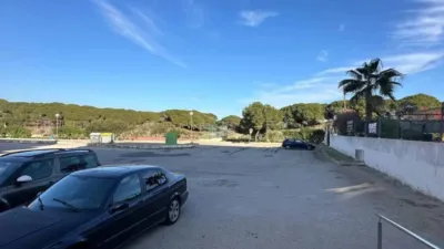 Apartment in Guardamar del Segura photo 8