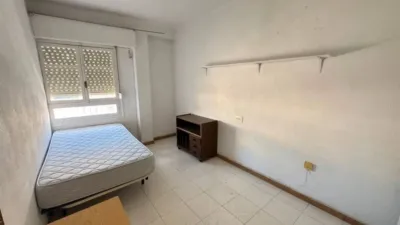 Apartment in Guardamar del Segura photo 12