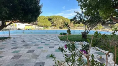 Apartment in Guardamar del Segura photo 7