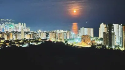 Apartment in Benidorm photo 12