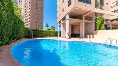 Apartment in Platja de Ponent photo 30