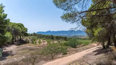 Chalet in Ibi photo 32