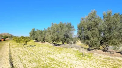 Chalet en Guardamar del Segura photo 9