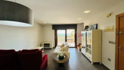 Chalet in Guardamar del Segura photo 37