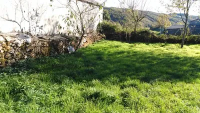 Rustic house in Castro Caldelas photo 17