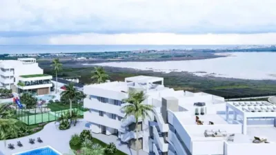Apartment in Guardamar del Segura photo 6