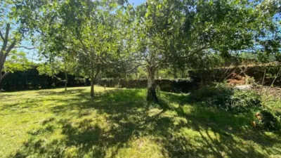 Chalet in Taboadela photo 7