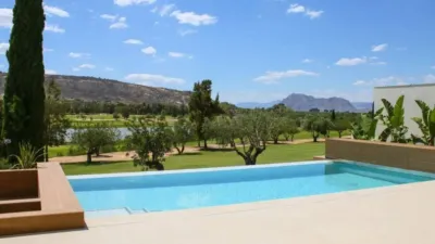 Chalet en Algorfa photo 35