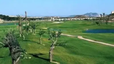 Chalet in Murcia Capital photo 8