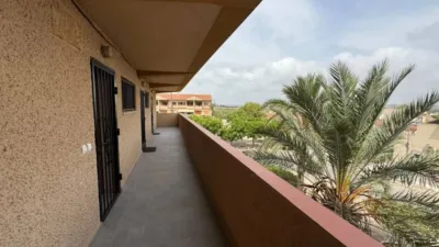 Apartment in Guardamar del Segura photo 19