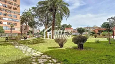 Apartment on Avinguda de Santa Margarida photo 19