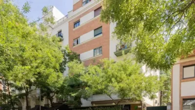 Apartment in Recoletos photo 39