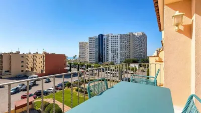 Apartment in the Badia-Gran Reserva Sector photo 7