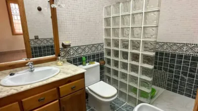 Apartment in Guardamar del Segura photo 15