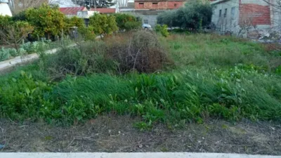 Chalet in Santomera photo 17