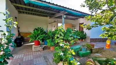 Chalet in Campillos photo 30